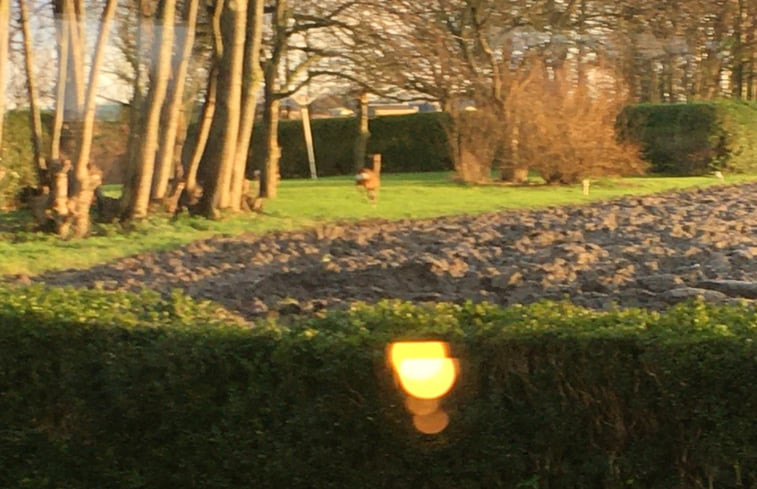 Natuurhuisje in Wijnaldum