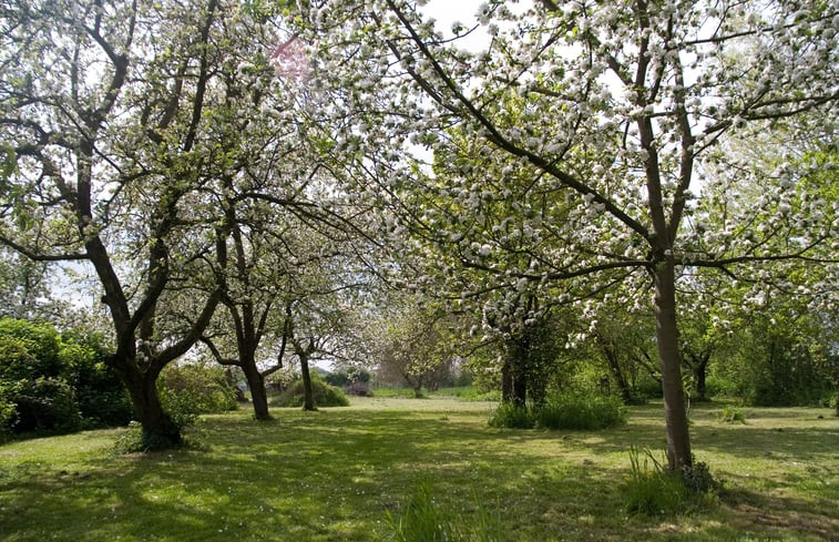 Natuurhuisje in Nijbroek