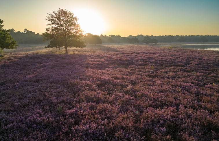 Natuurhuisje in Lierop