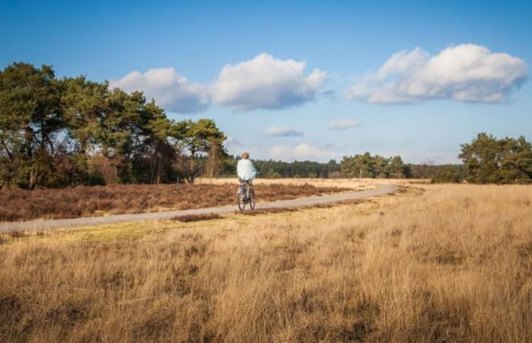 Natuurhuisje in Doornspijk