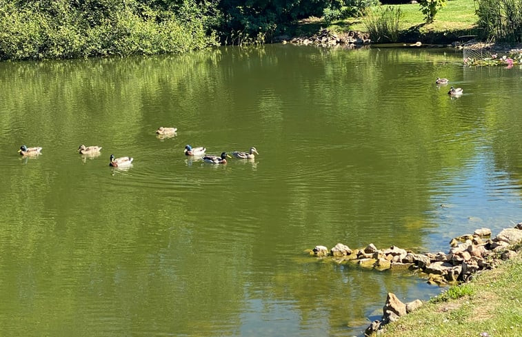 Natuurhuisje in Savigny Levescault