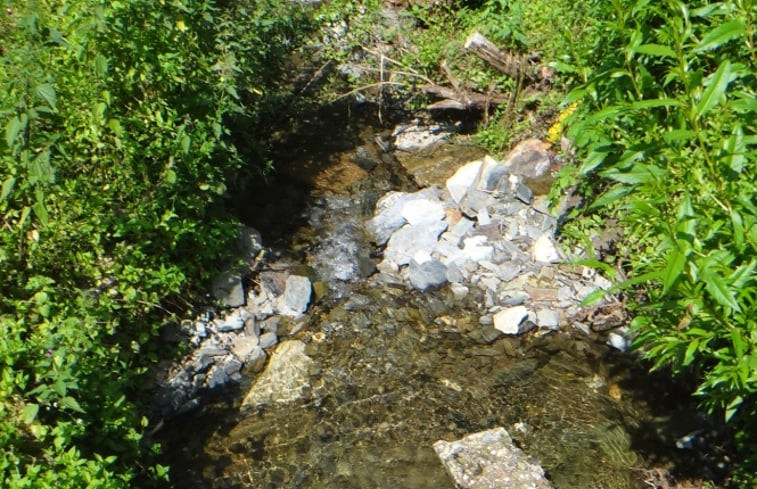 Natuurhuisje in Longkamp