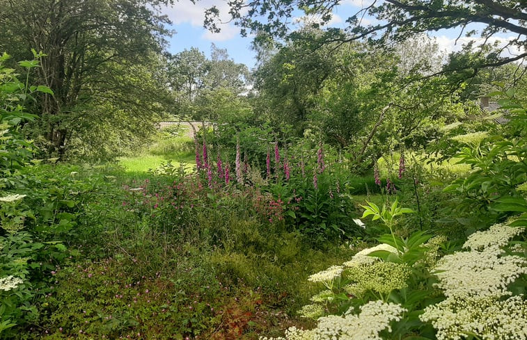 Natuurhuisje in Malden