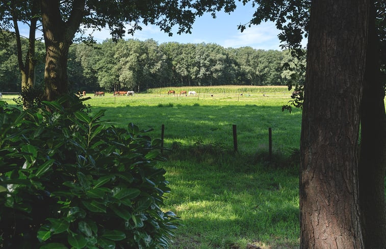 Natuurhuisje in Soest