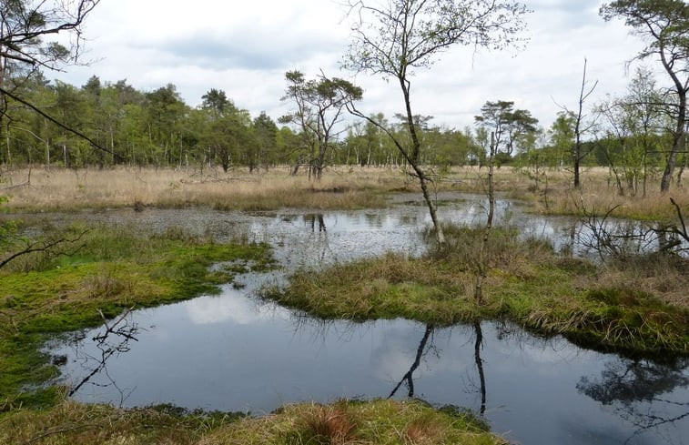 Natuurhuisje in Elp