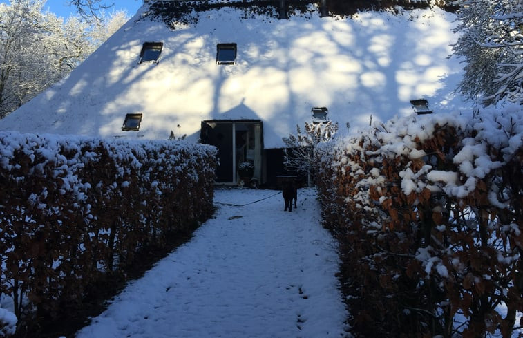 Natuurhuisje in Uffelte