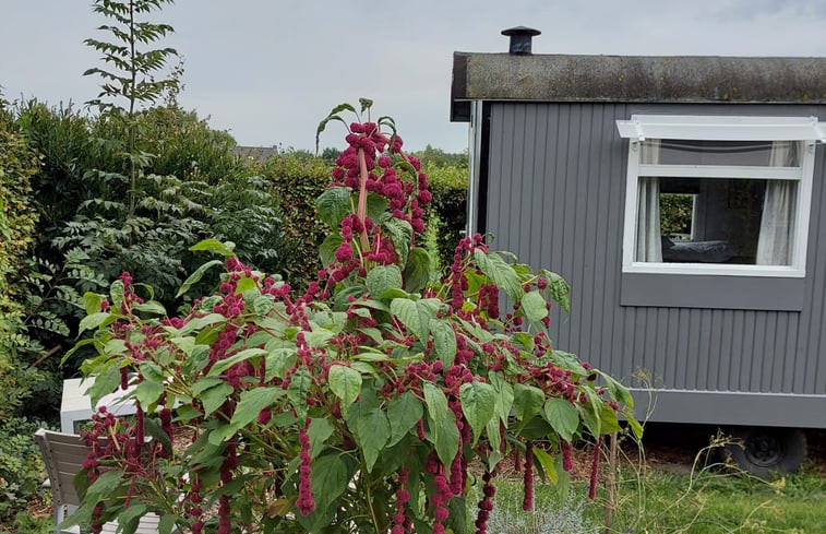 Natuurhuisje in Waspik