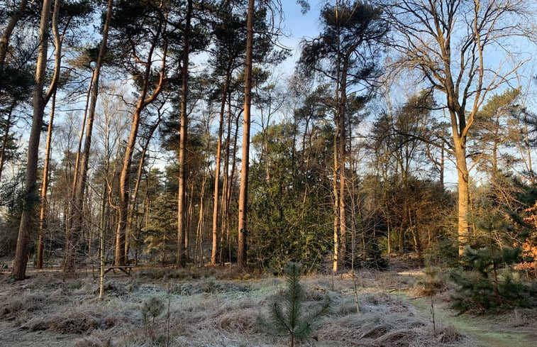 Natuurhuisje in Holten