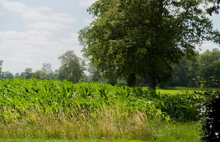 Natuurhuisje in Ruurlo