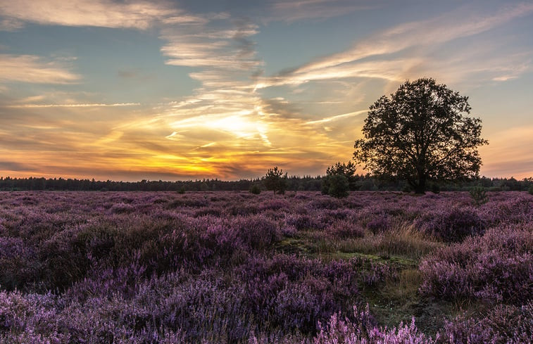 Natuurhuisje in Ermelo