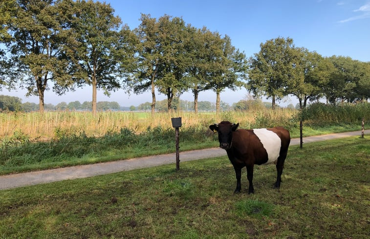 Natuurhuisje in Lettele