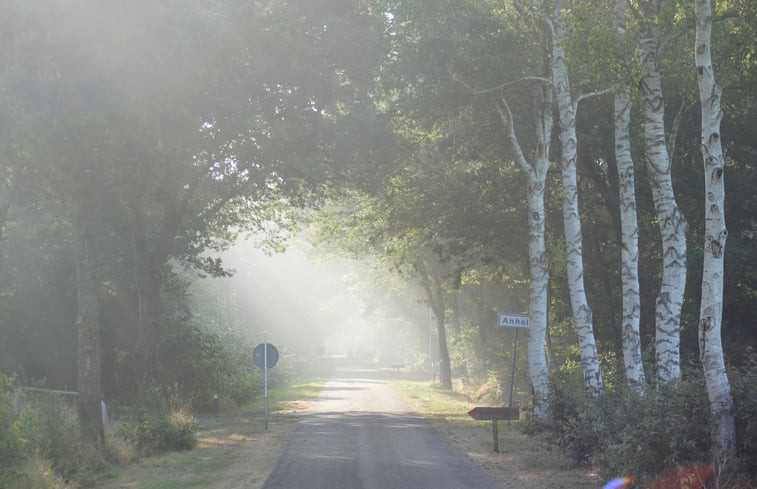 Natuurhuisje in Ruinen