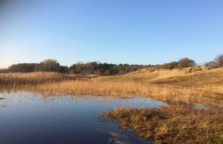 Natuurhuisje in Egmond-Binnen