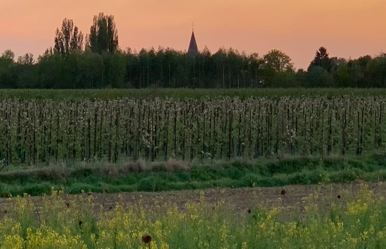 Natuurhuisje in Grathem