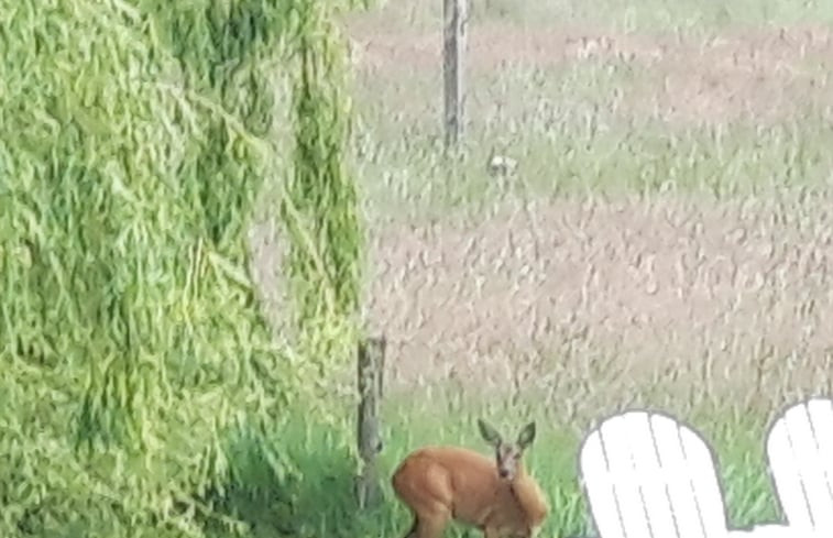 Natuurhuisje in Oldenzaal