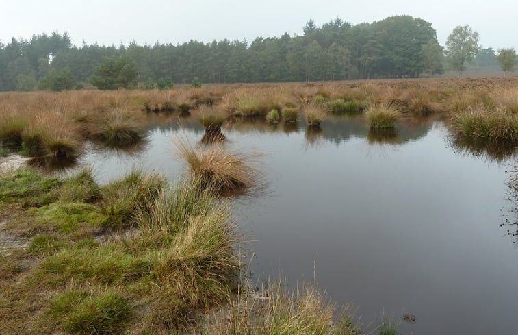 Natuurhuisje in Epe