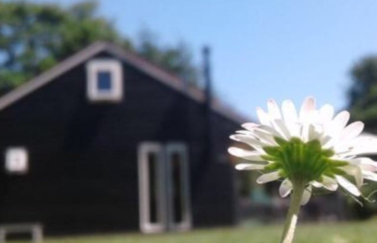 Natuurhuisje in Egmond aan den Hoef