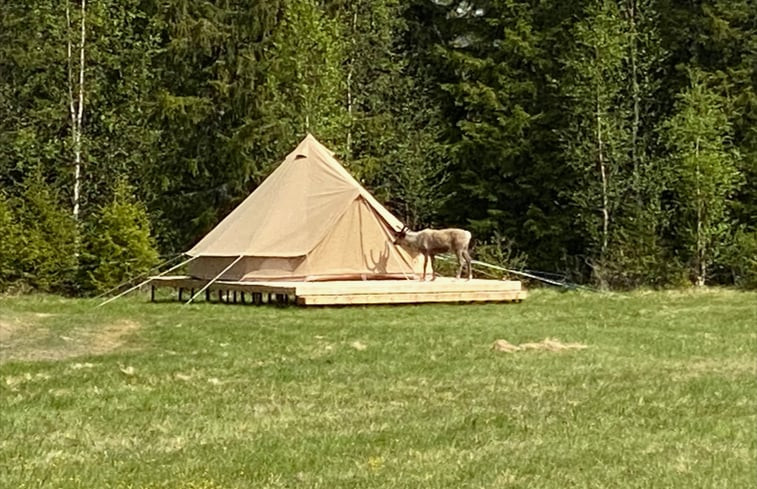 Natuurhuisje in Sveg