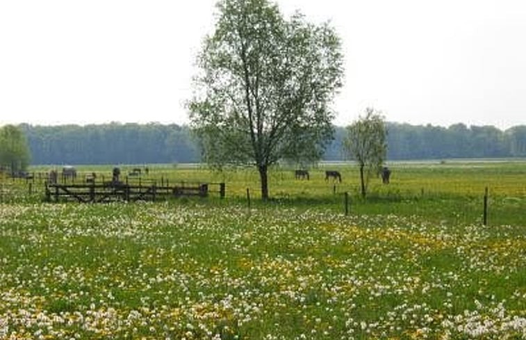 Natuurhuisje in Warnsveld