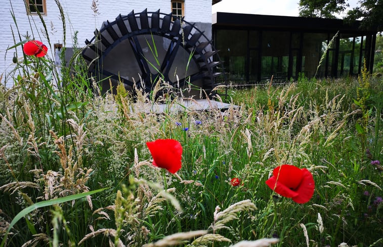 Natuurhuisje in Opoeteren