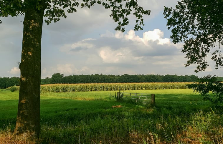 Natuurhuisje in Laag Zuthem