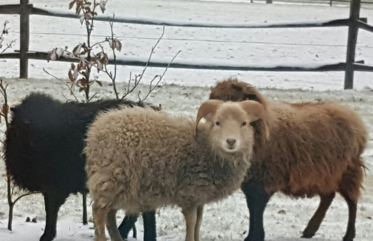 Natuurhuisje in Maarsbergen