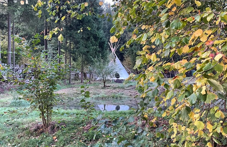 Natuurhuisje in Trippstadt