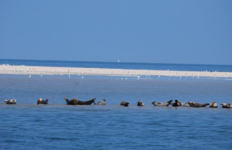 Natuurhuisje in Makkum (Friesland)