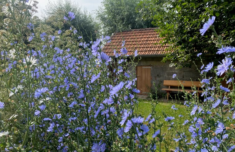 Natuurhuisje in Biervliet