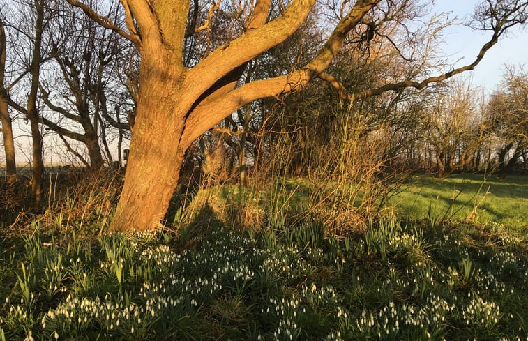 Natuurhuisje in Oosterend, Texel