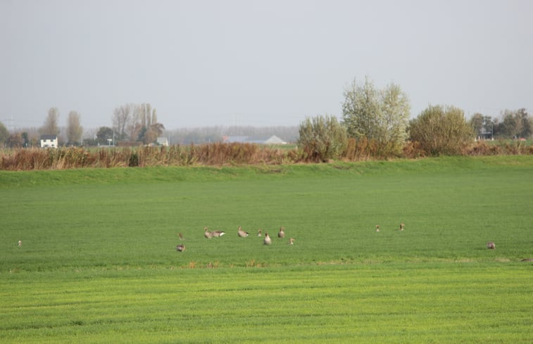 Natuurhuisje in Rijpwetering (Kagerplassen)