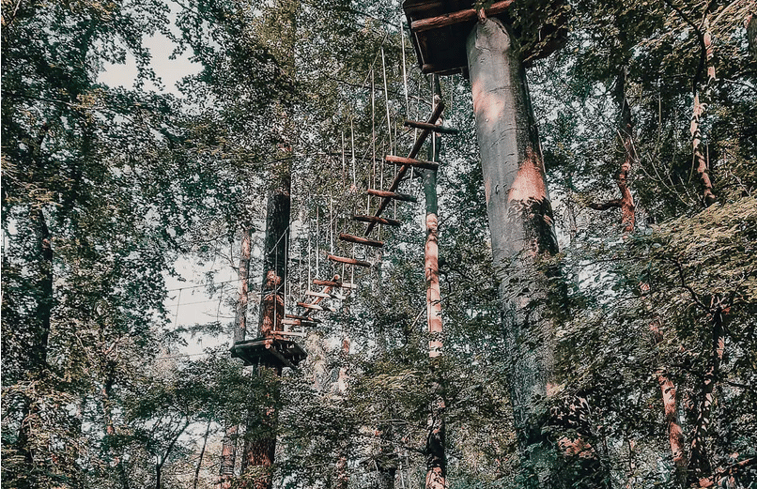 Natuurhuisje in Fochteloo