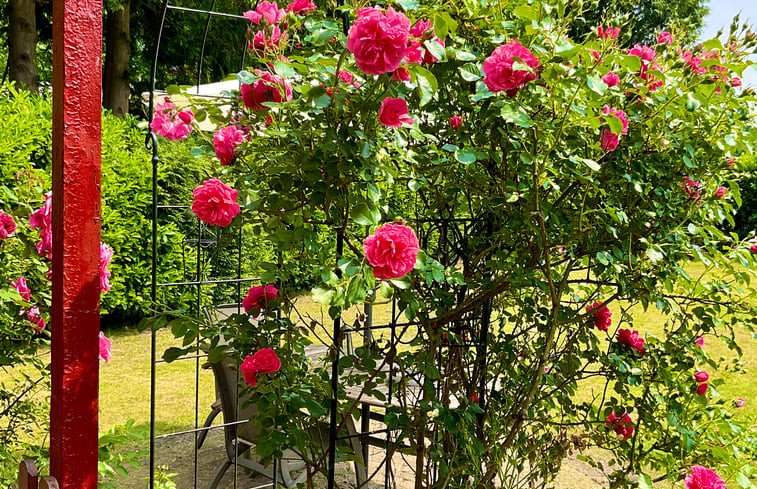 Natuurhuisje in Haaren