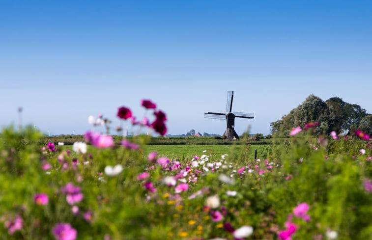 Natuurhuisje in Sandfirden