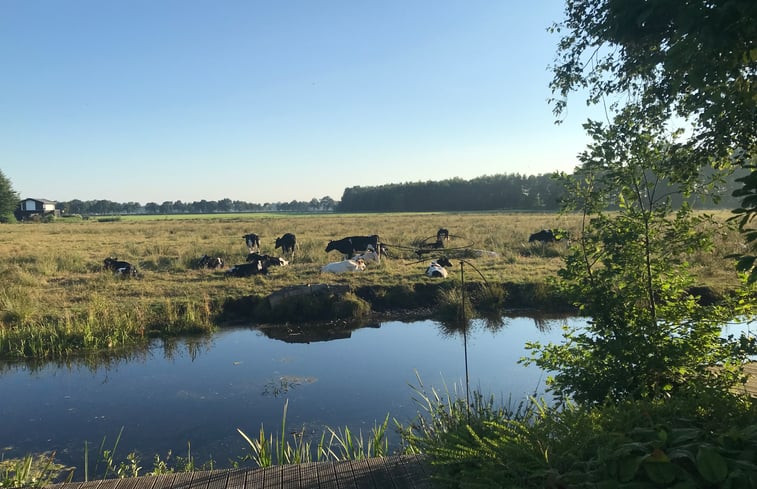 Natuurhuisje in Tytsjerk