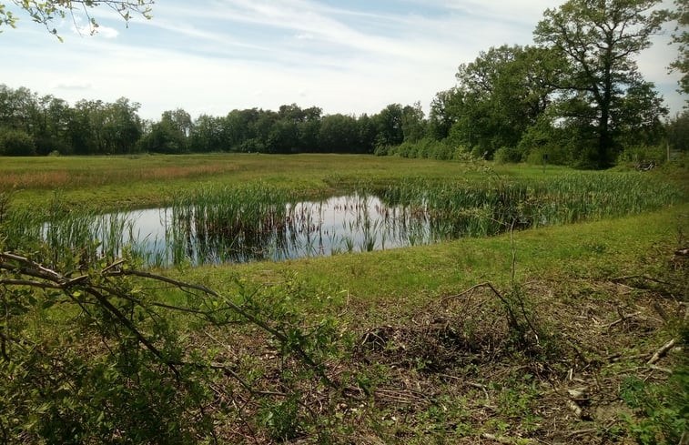 Natuurhuisje in Winterswijk