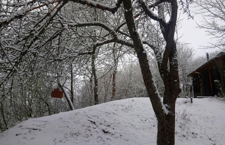 Natuurhuisje in Zaton Dolna