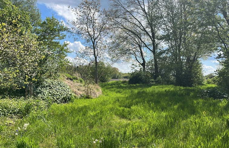 Natuurhuisje in Ommen