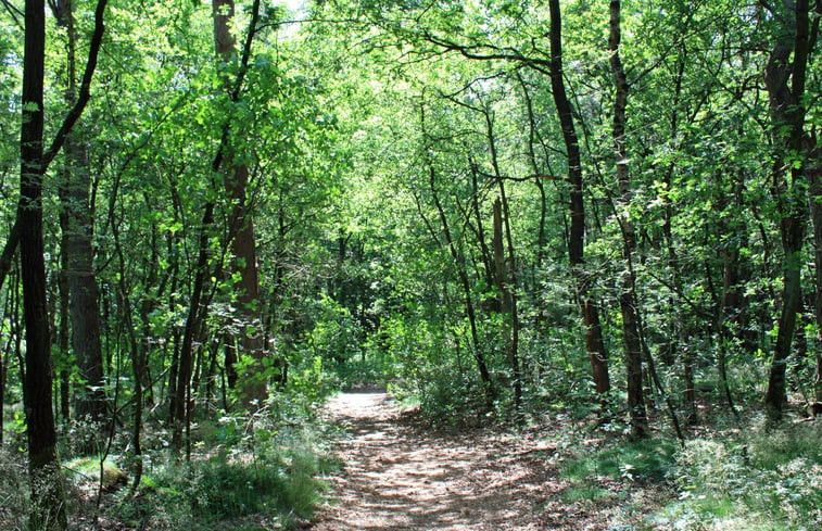 Natuurhuisje in Dötlingen Ostrittrum