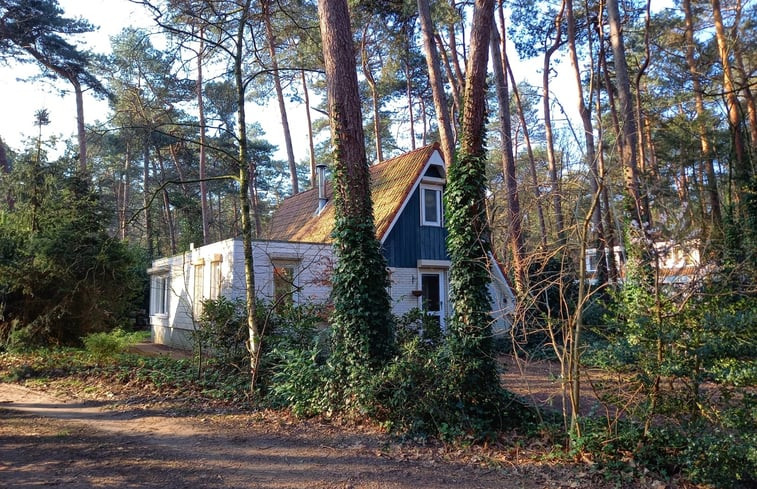 Natuurhuisje in Ommen