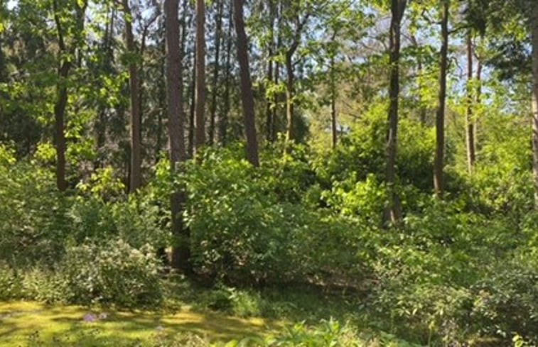 Natuurhuisje in Norg