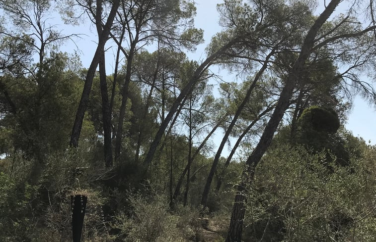 Natuurhuisje in Castellitx, Mallorca