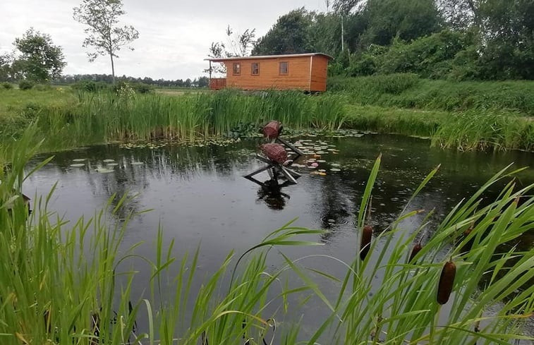 Natuurhuisje in Wapserveen