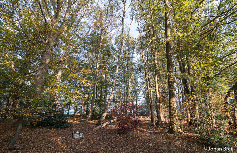 Natuurhuisje in Laren Gld