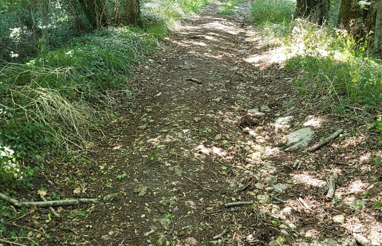 Natuurhuisje in Cellefrouin