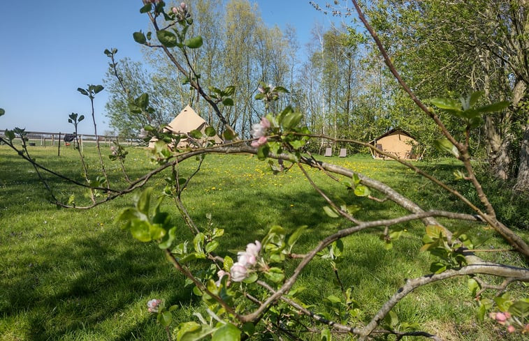 Natuurhuisje in Nijewier