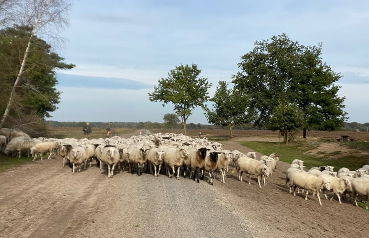 Natuurhuisje in Kootwijkerbroek