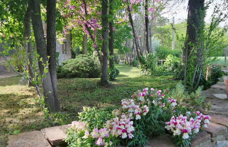 Natuurhuisje in castiglione del lago