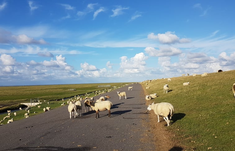 Natuurhuisje in Ulrum