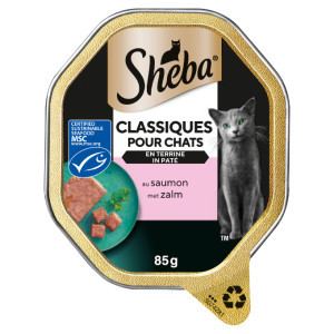 Sheba Classics paté met zalm natvoer kat (kuipjes 85 g) 22 x 85 g